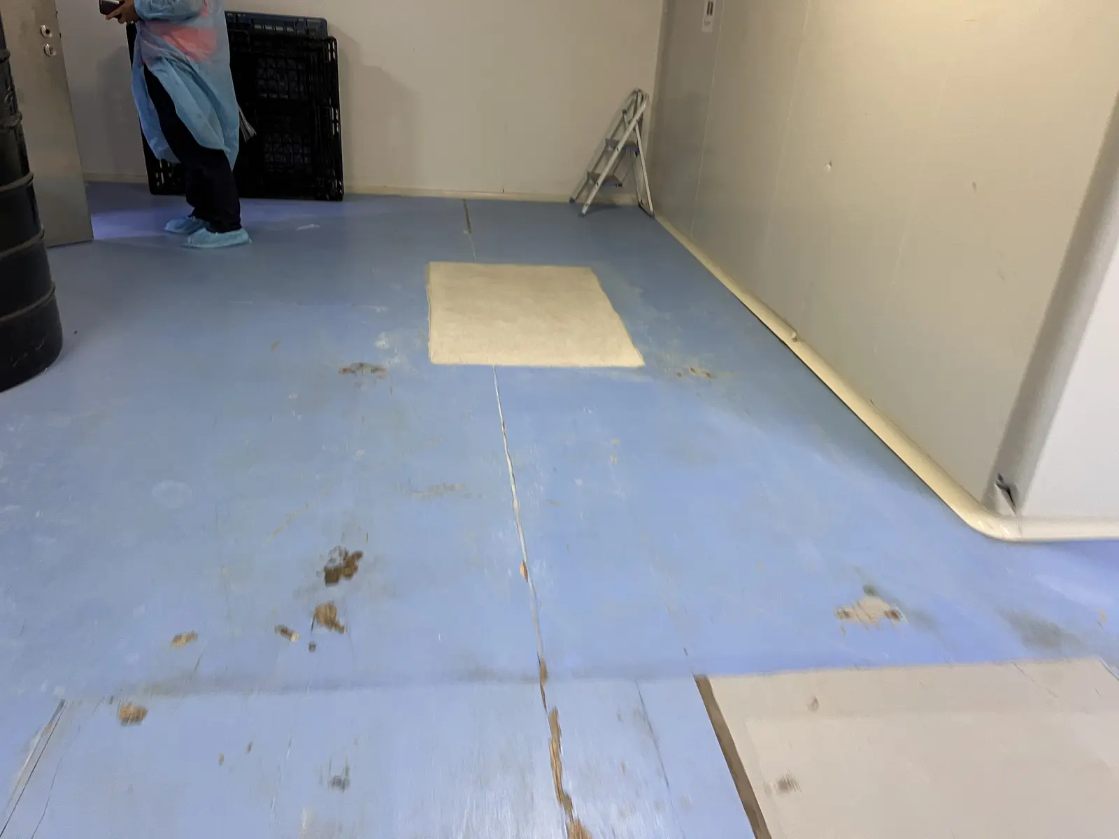 Worn blue epoxy floor before preparation in a confidential pharmaceutical facility